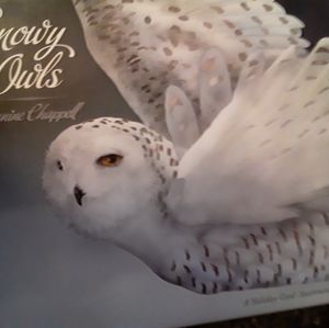 Season's Greetings Cards